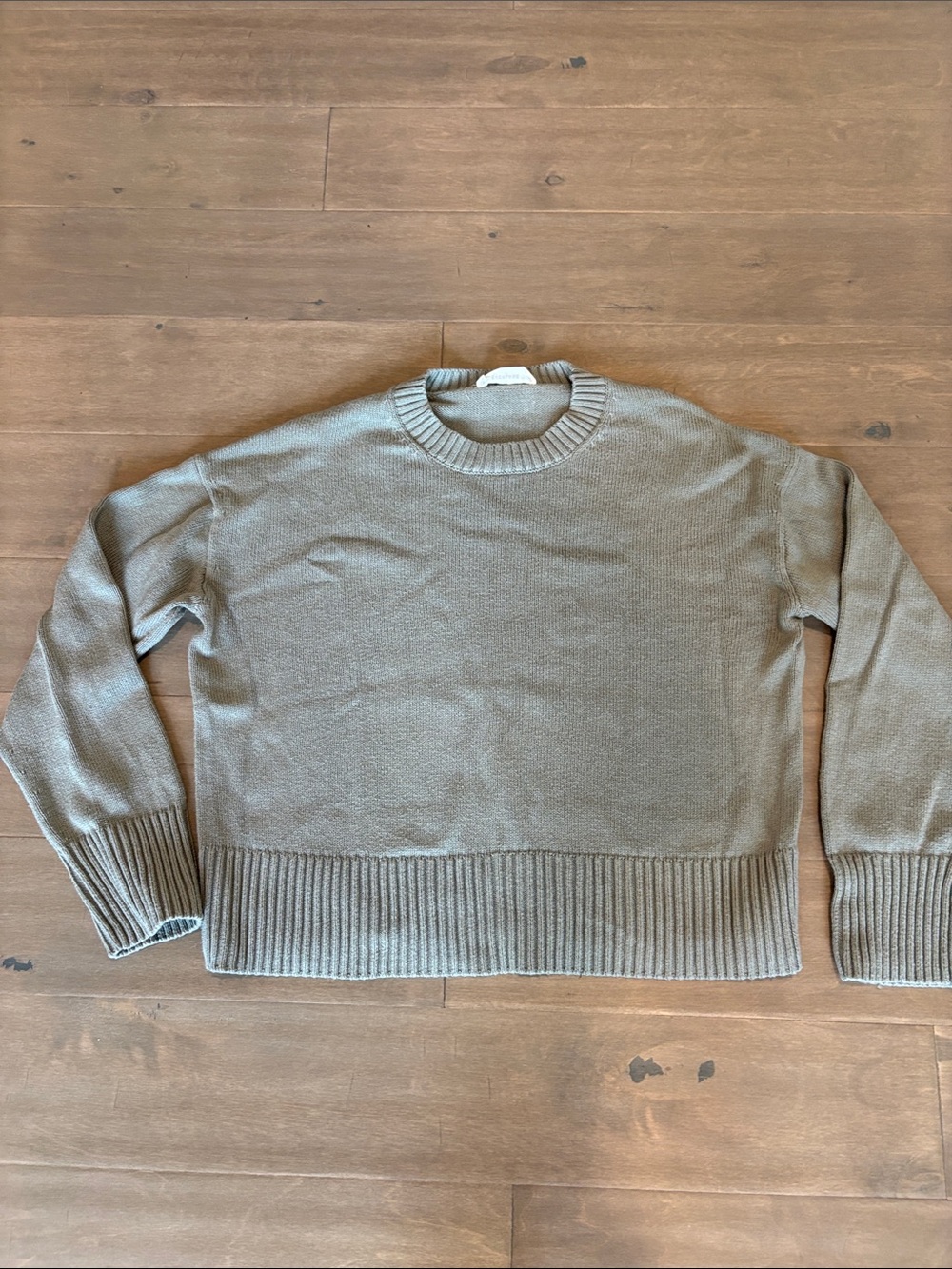 Everlane Women's Crewneck Sweater in Sage